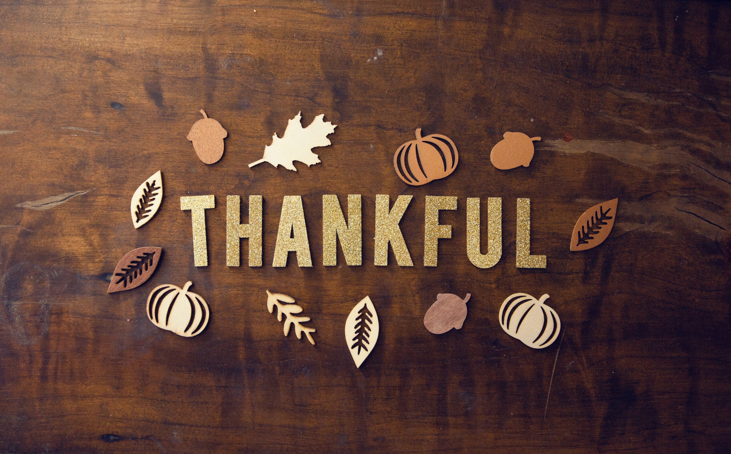 MSD, Inc is thankful for…..